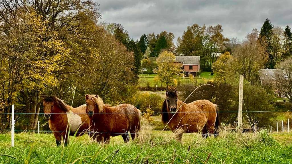 La Maison Attila En Ardennes Libin Dış mekan fotoğraf